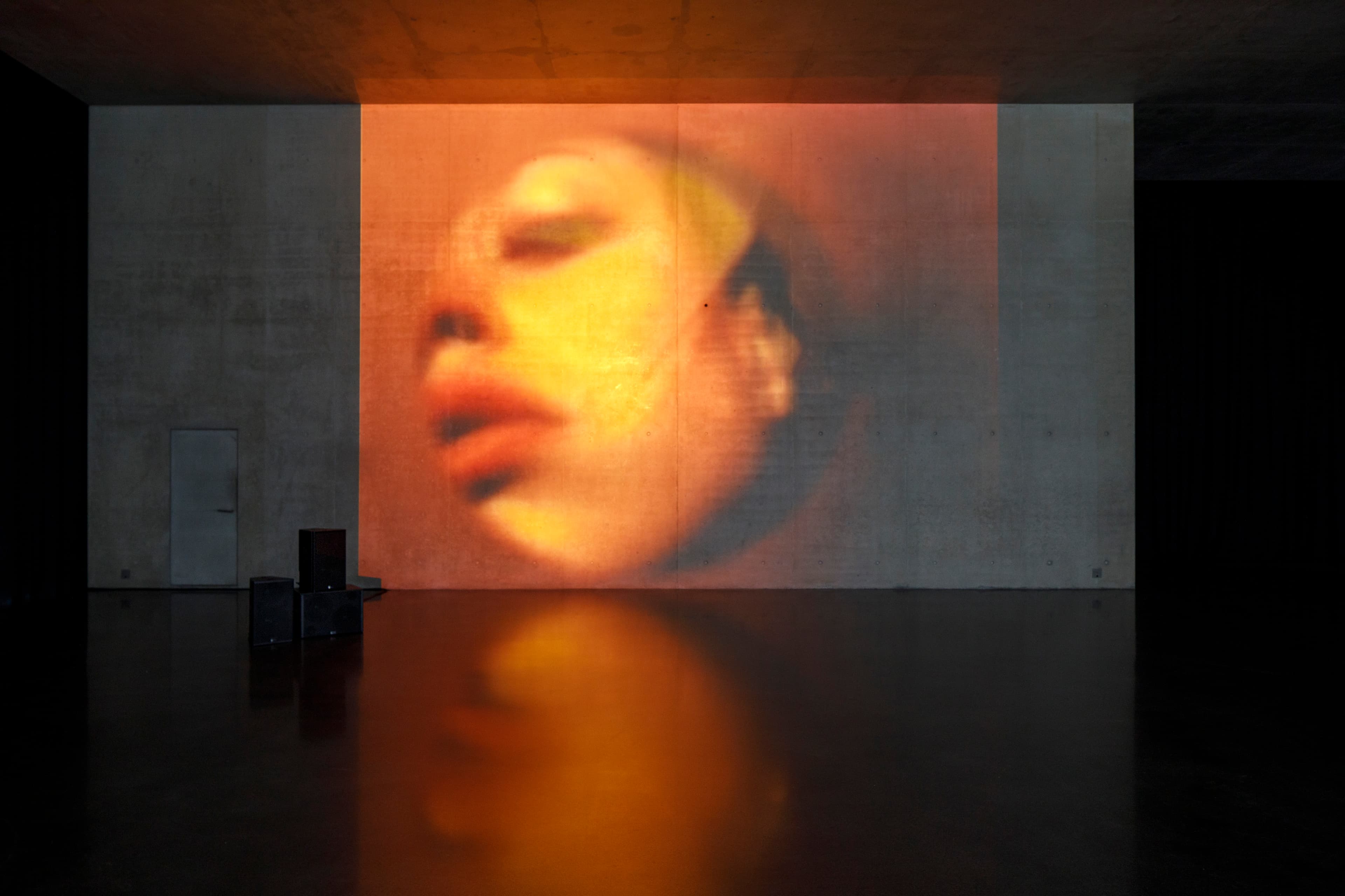 Anne Imhof, Kunsthaus Bregenz, 2024