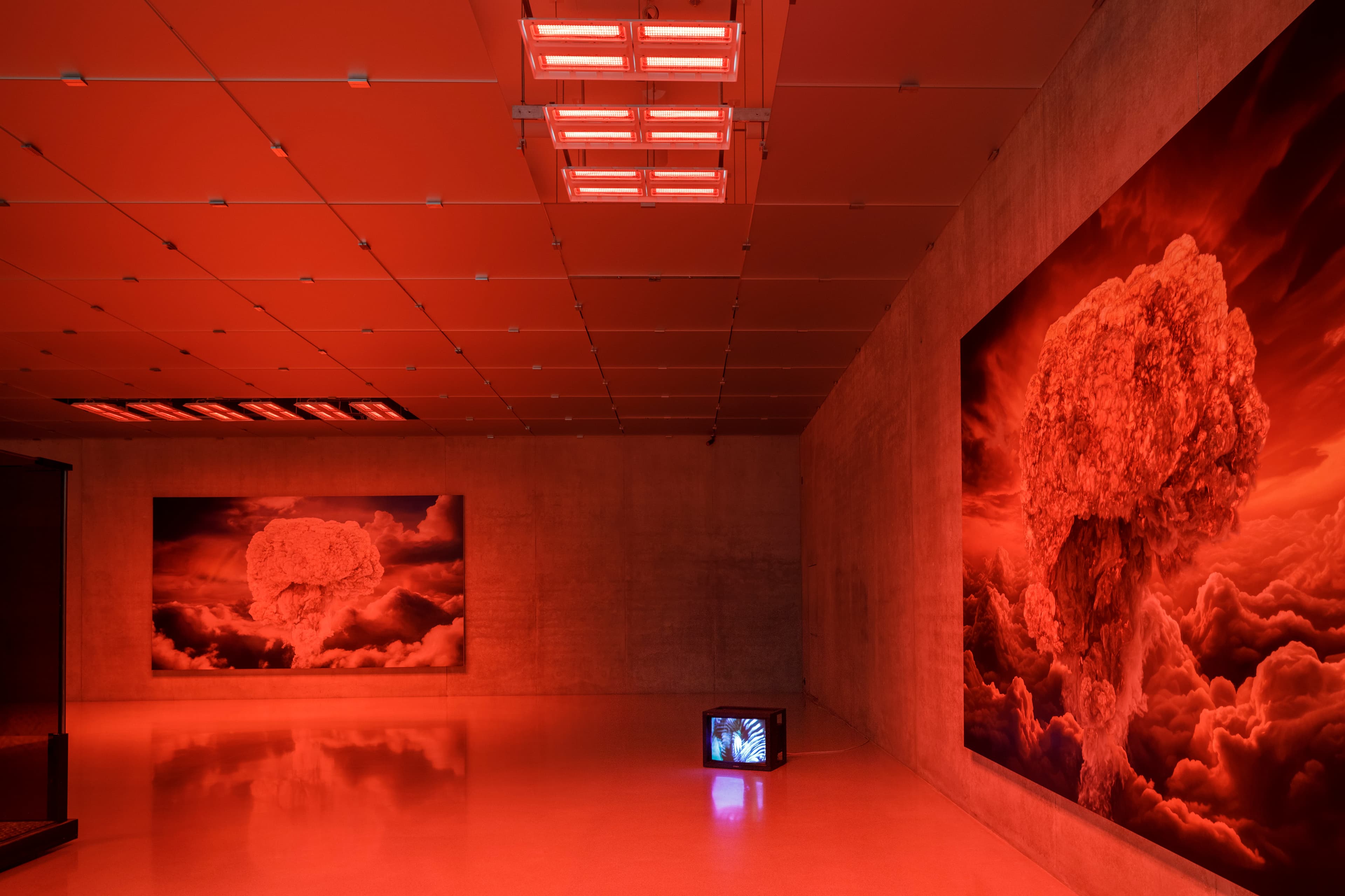 Anne Imhof, Kunsthaus Bregenz, 2024 — 4/35